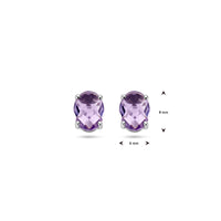 vDam Oorknoppen Amethist Zilver Gerhodineerd 1337689