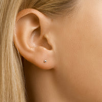 vDam Oorknoppen Bolletje Zilver Wit 1000450