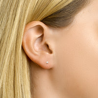 vDam Oorknoppen Bolletje Zilver Wit 1000452