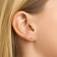 vDam Oorknoppen Bolletje Zilver Wit 1000453