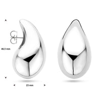 vDam Oorknoppen Druppel Zilver Gerhodineerd 1338988