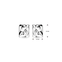 vDam Oorknoppen Gehamerd 15 Mm Zilver Gerhodineerd 1339781