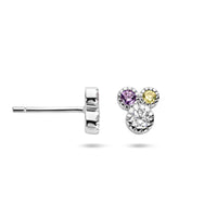 vDam Oorknoppen Meerdere Kleuren Zirkonia Zilver Gerhodineerd 1336540