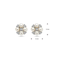 vDam Oorknoppen Parel En Zirkonia Zilver Gerhodineerd 1338445