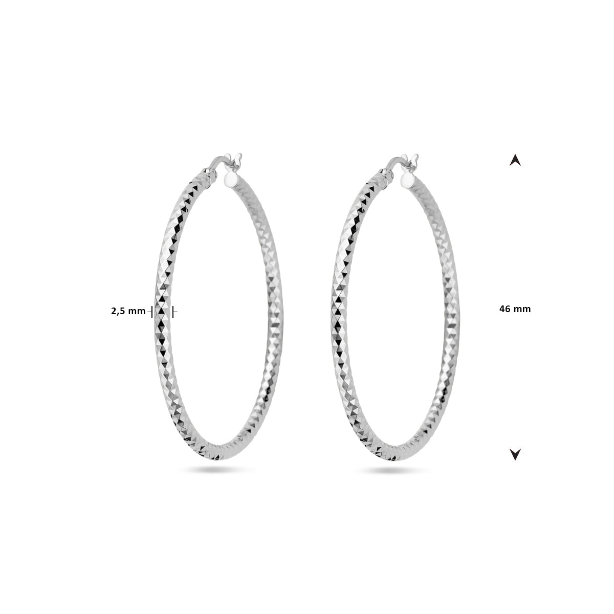 vDam Oorringen 2,5 Mm Ronde Buis Gediamanteerd Zilver Gerhodineerd 1338342