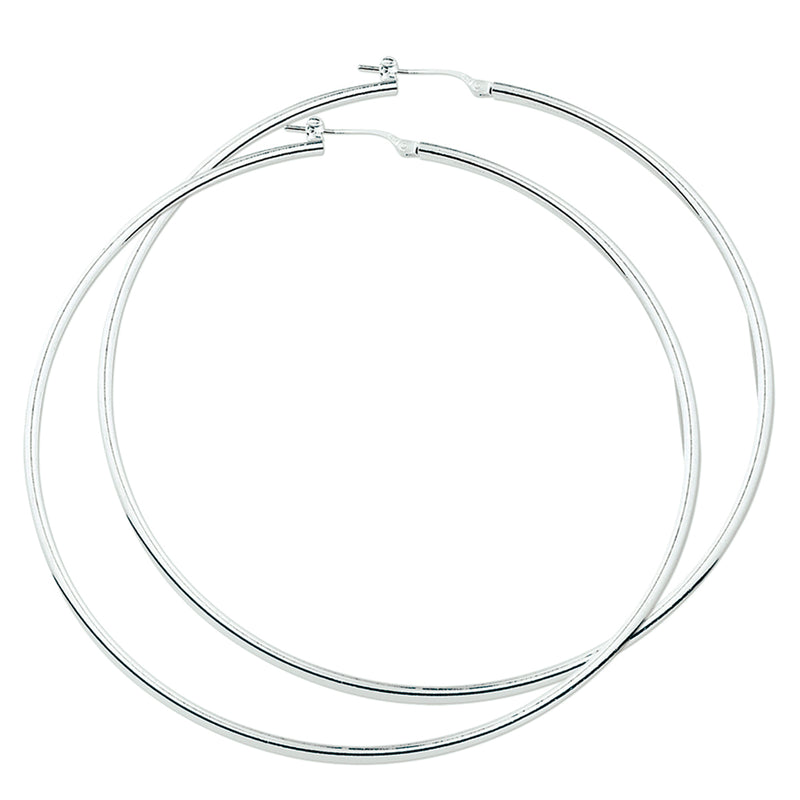 vDam Oorringen 2,5 Mm Ronde Buis Zilver Wit 1015564