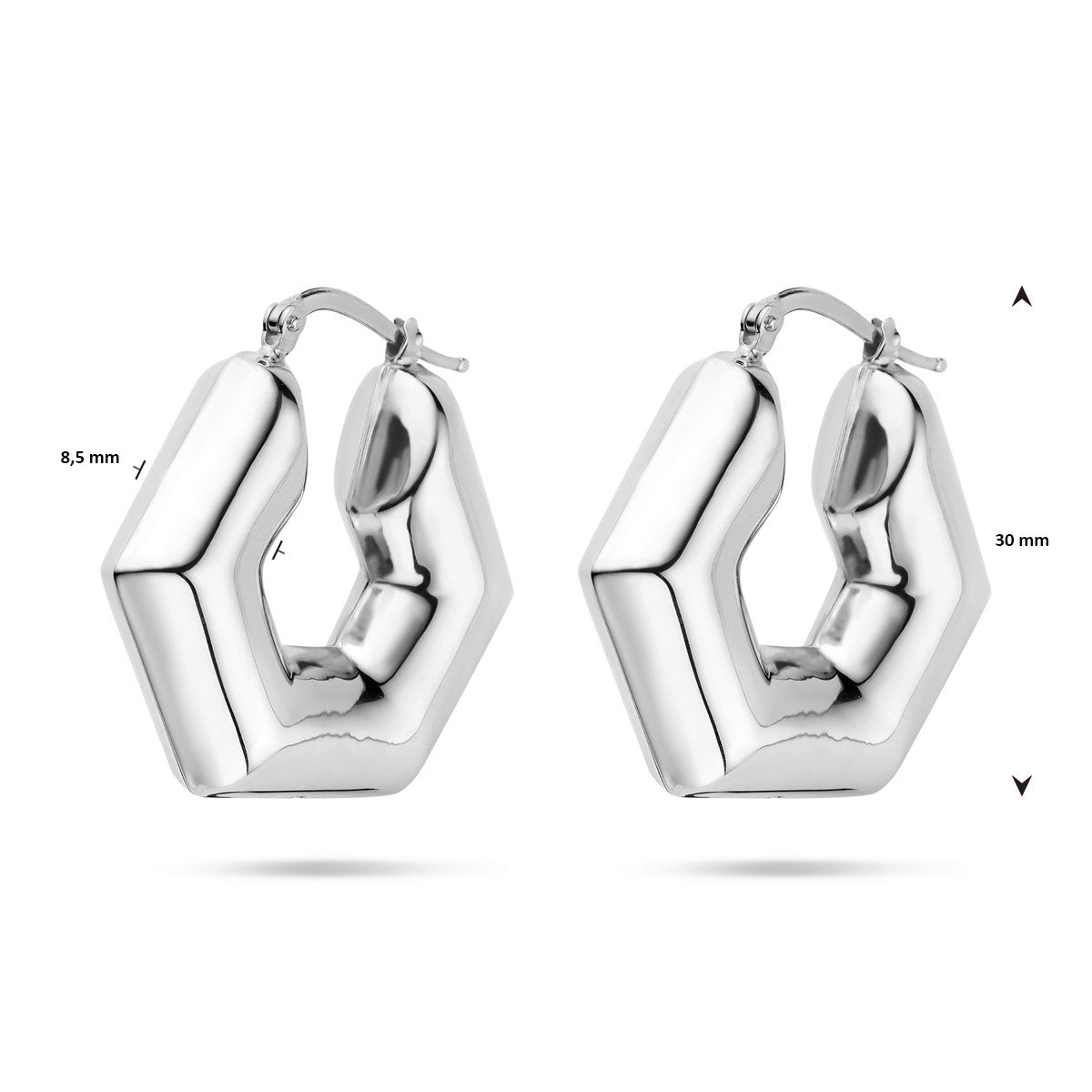 vDam Oorringen 30 Mm Zilver Gerhodineerd 1340019