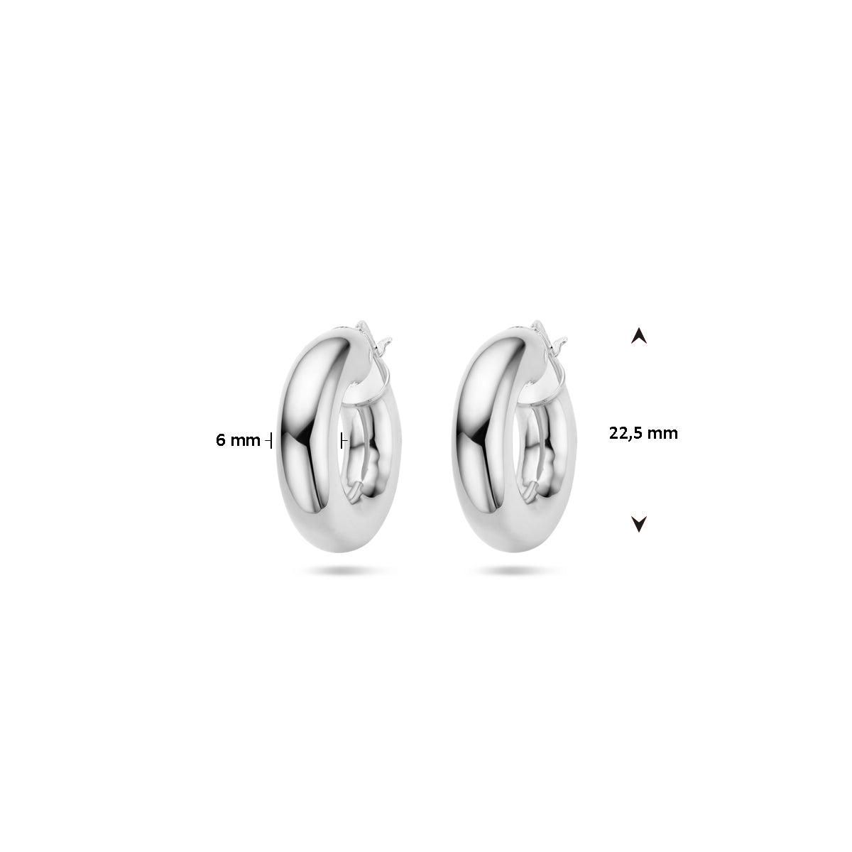 vDam Oorringen 6,0 Mm Ronde Buis Zilver Gerhodineerd 1336910