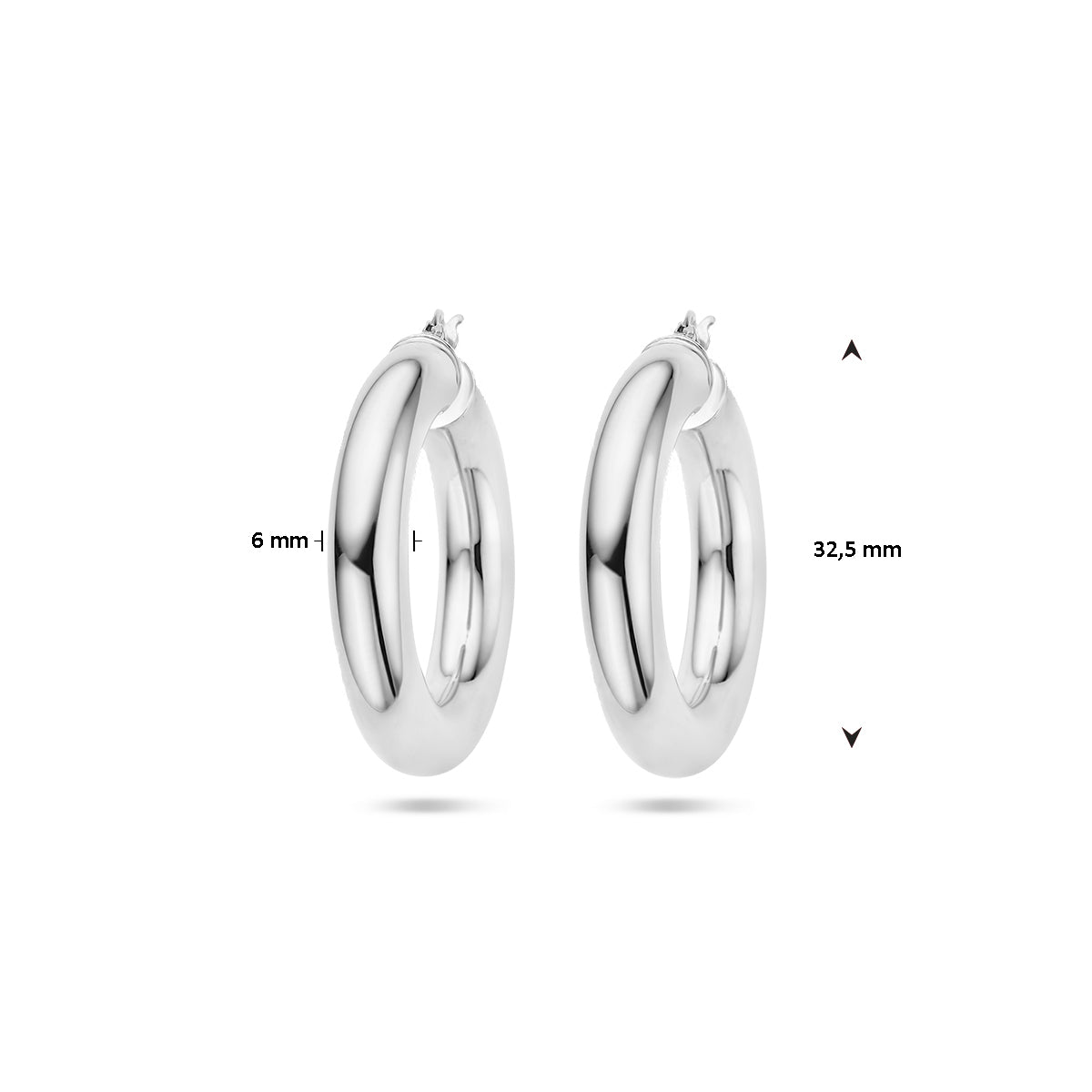 vDam Oorringen 6,0 Mm Ronde Buis Zilver Gerhodineerd 1336911