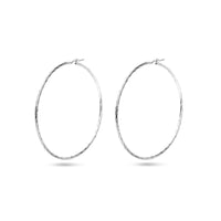 vDam Oorringen Gedraaide Buis 2,5 Mm Zilver Gerhodineerd 1338620