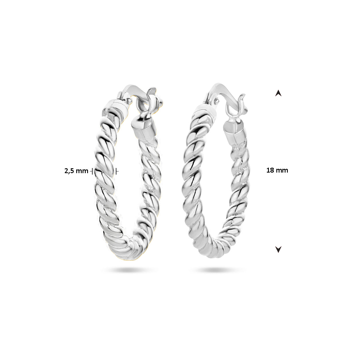 vDam Oorringen Gedraaide Buis Zilver Gerhodineerd 1336926