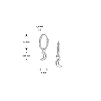 vDam Oorringen Maan Zilver Gerhodineerd 1327067