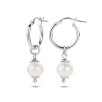 vDam Oorringen Parel Zilver Gerhodineerd 1335361