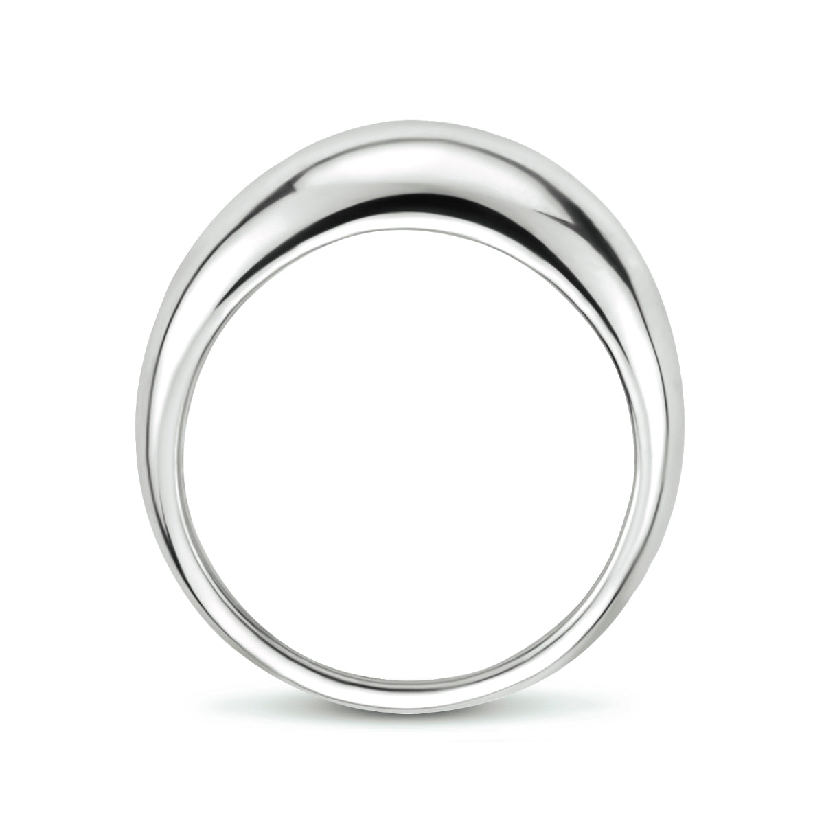 vDam Ring Balloon Zilver Gerhodineerd 1334250 Maat 16½