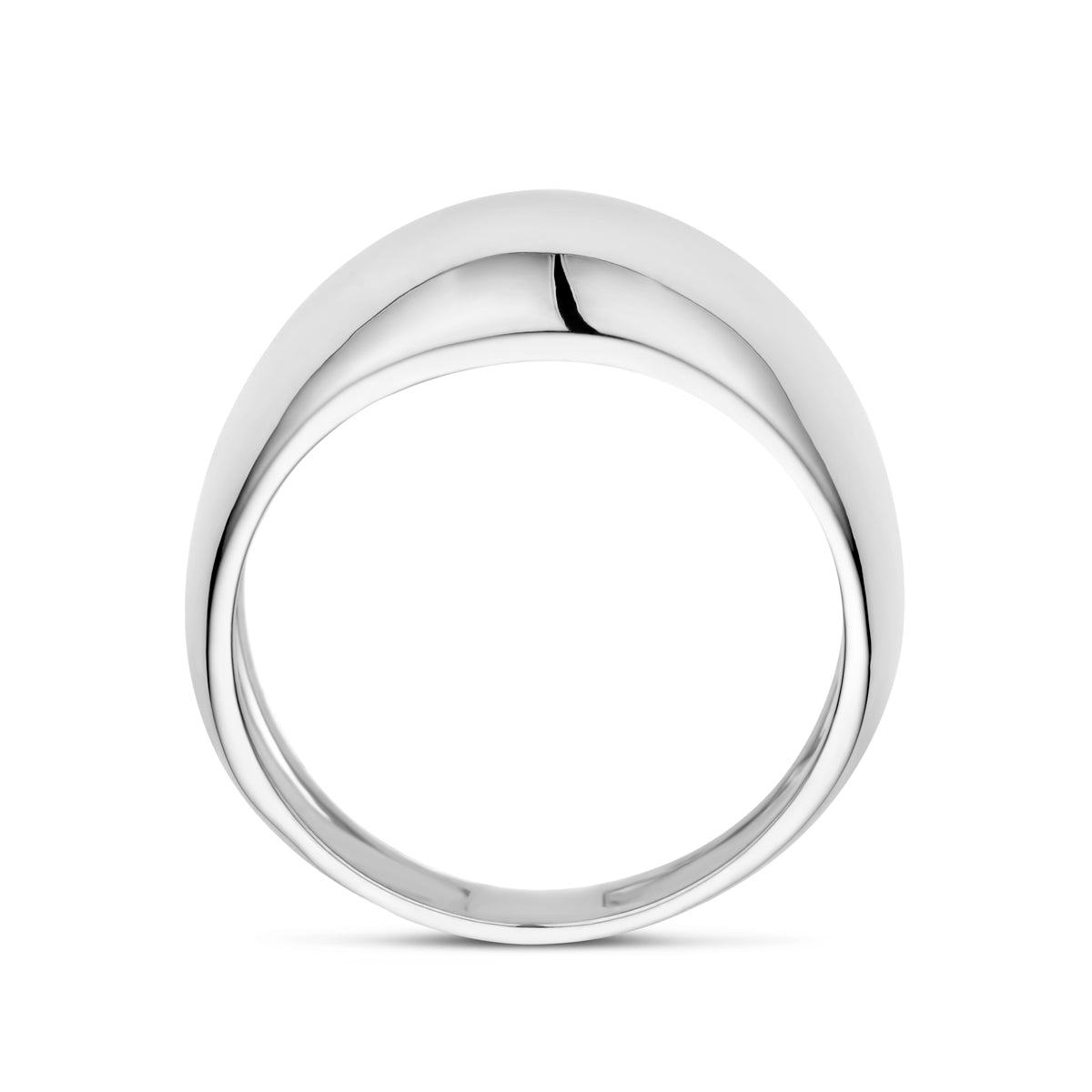 vDam Ring Balloon Zilver Gerhodineerd 1339398 Maat 19