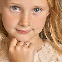 vDam Ring Kroon Zilver Gerhodineerd 1326785 Maat 14½