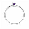 vDam Ring Met Geboortesteen Amethist Februari Zilver Gerhodineerd 1337074 Maat 16