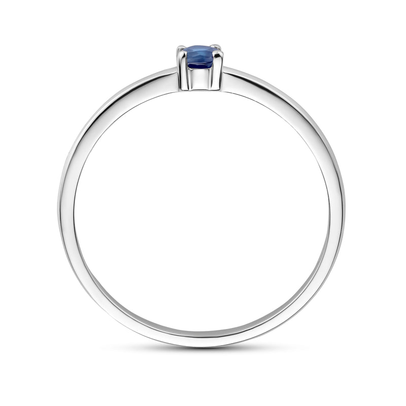 vDam Ring Met Geboortesteen Saffier September Zilver Gerhodineerd 1337051 Maat 16½