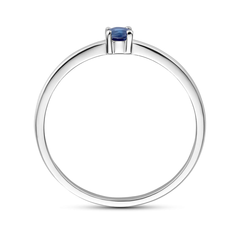 vDam Ring Met Geboortesteen Saffier September Zilver Gerhodineerd 1337052 Maat 17