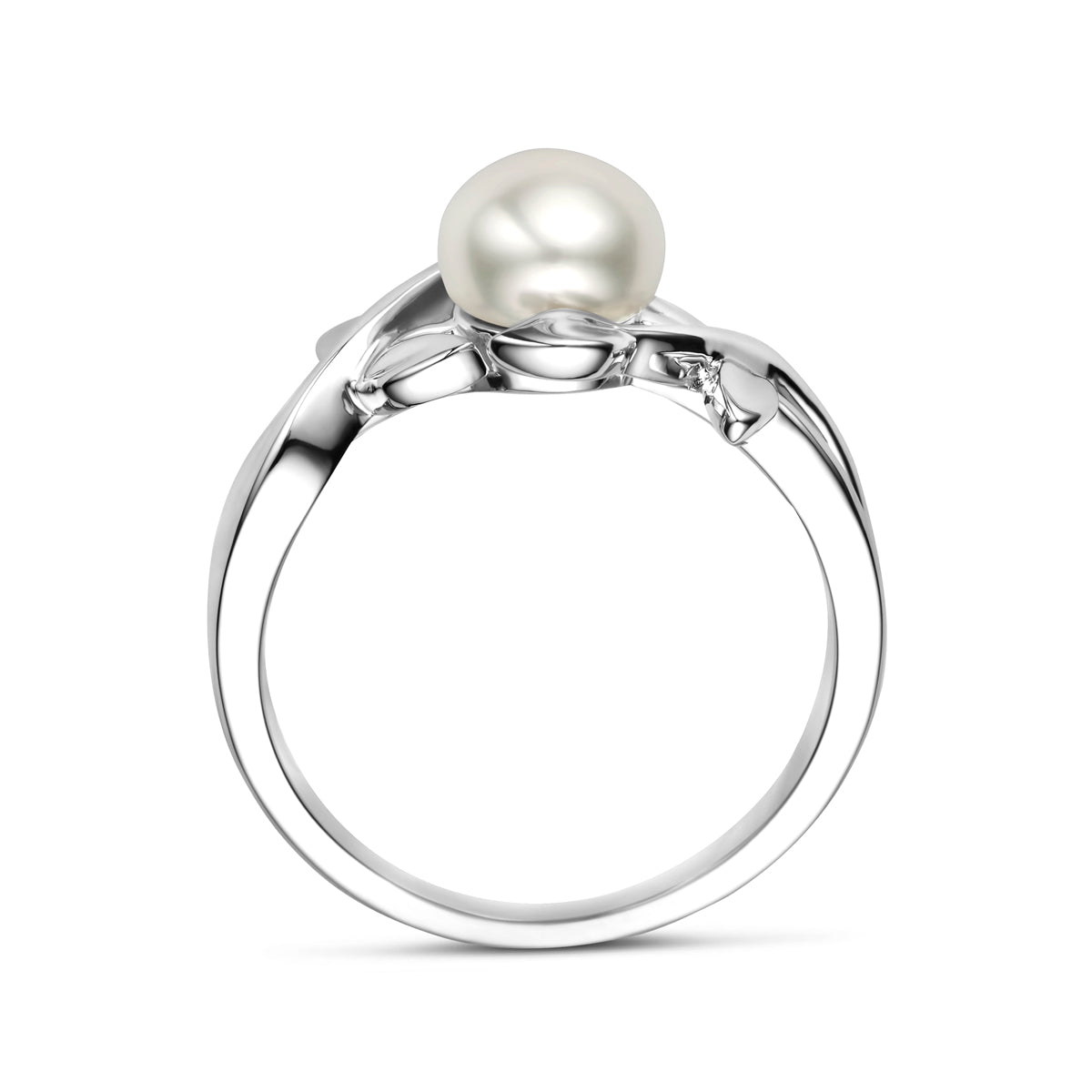 vDam Ring Parel Zilver Gerhodineerd 1341181 Maat 17¼