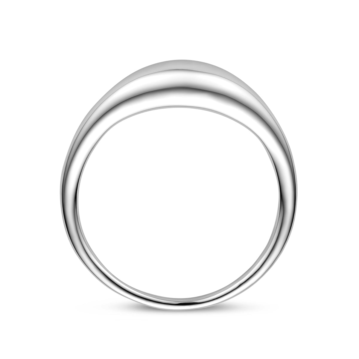 vDam Ring Zilver Gerhodineerd 1340489 Maat 17¾