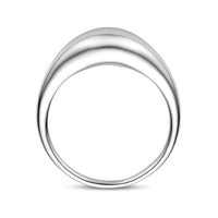 vDam Ring Zilver Gerhodineerd 1340494 Maat 17¾