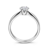 vDam Ring Zirkonia Zilver Gerhodineerd 1336763 Maat 19