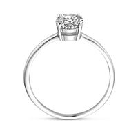 vDam Ring Zirkonia Zilver Gerhodineerd 1339372 Maat 18½