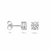 vDam Zilveren Oorknoppen 1325977 - Juwelier van Dam